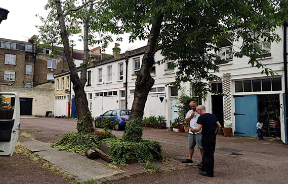 Albany Mews, Albany Road, c2016.     X.png
