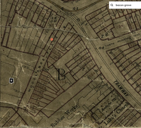 Woodland Place 1910, off Grange Road.  X..png