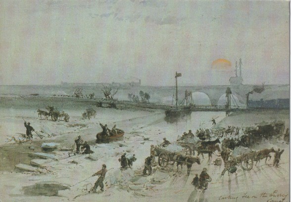 Grand Surrey Canal, Carting ice, c1850. X..jpg
