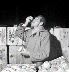 Surrey Docks, Orange Testers.   X..png