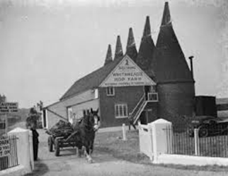 Whitbread’s hop farm Beltring, Kent, 1938.  X..png