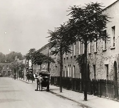 Silwood Street c1935. Ailanthus Trees, also known as the tree-of-Heaven.  X..png