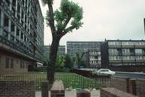 Eugenia Road, Silwood Estate.  X..png