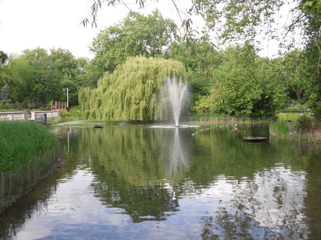 Southwark Park Lake, 2015..jpg