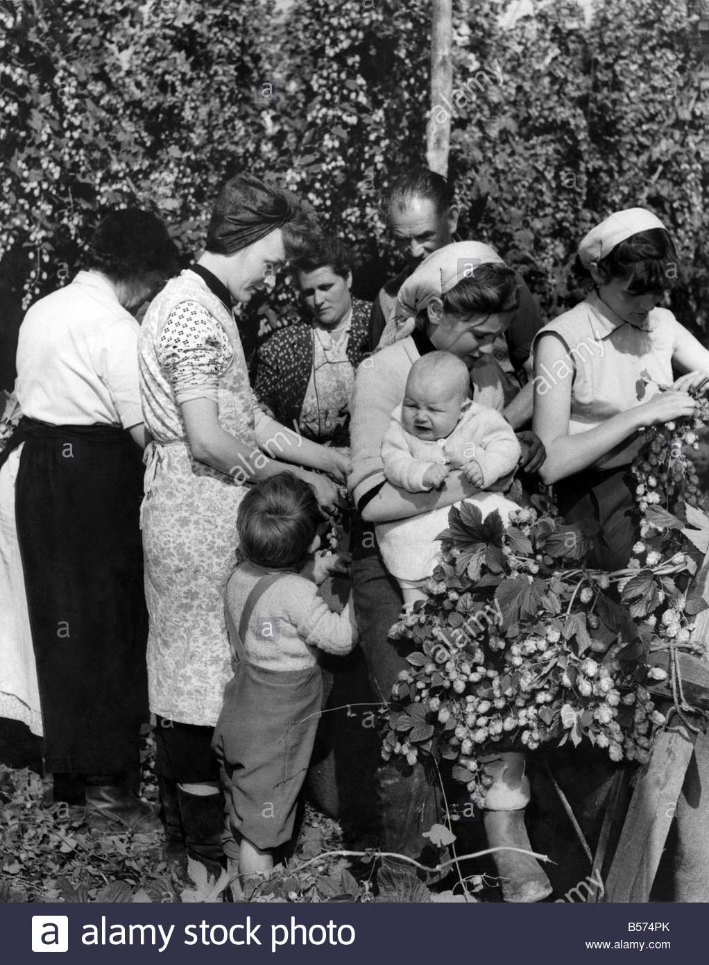 Farming Hop Pickers. Mr & Mrs Broadhurst, from Bermondsey.jpg